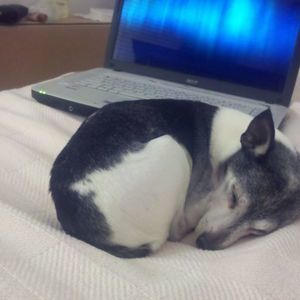 Meet your Posher, Debra